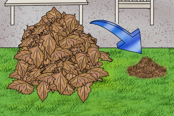 Pile of leaves reduced to mulch