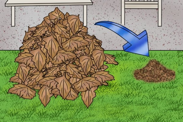 Pile of leaves reduced to mulch Pile of leaves reduced to mulch