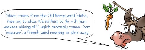 Donkee explains word skive comes from Old Norse