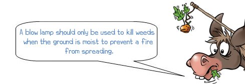 Wonkee Donkee says "A blow lamp should only be used to kill weeds  when the ground is moist to prevent a fire  from spreading"