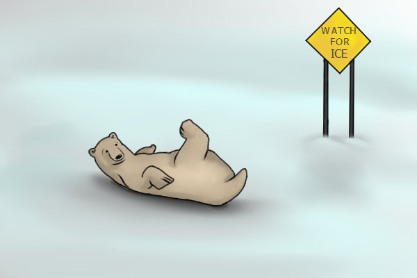 Image of a polar bear who has not seen the warning sign about slipping on ice