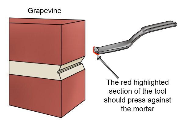 Grapevine joint with highlighted red section