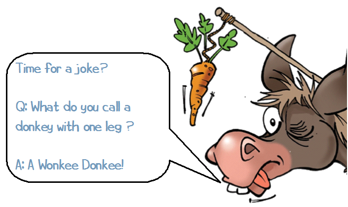 Time for a joke? Q: What do you call a donkey with one leg? A: A Wonkee Donkee!