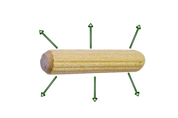 Image to show that dowels made of dried wood can expand when they absorb moisture from glue