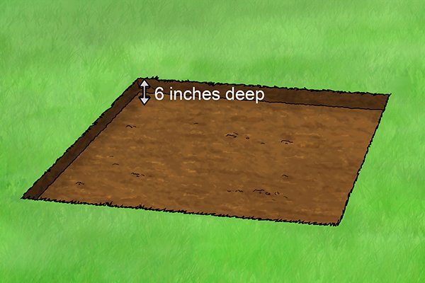 dig down hole 6 inches deep 