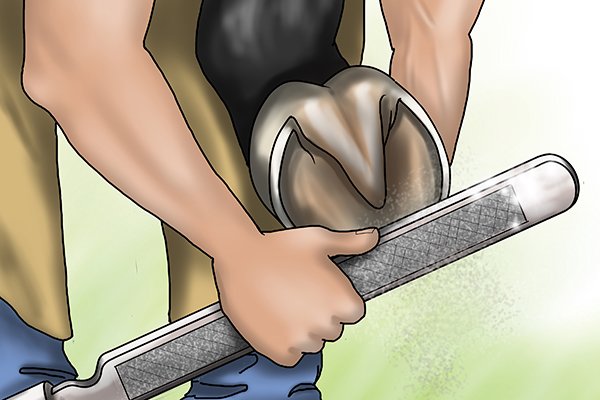Image of a horse keeper filing the bottom of their horse's hoof using a horse rasp