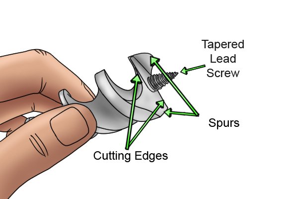 Diagram illustrating the parts of an auger bit including the spurs and cutting edges