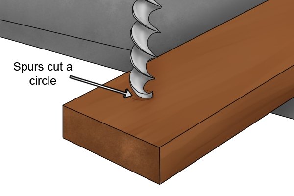 Image showing the spurs on an auger bit cutting a circle into a piece of wood