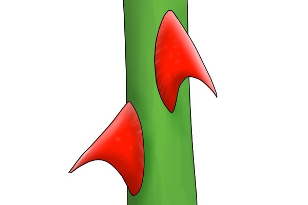 Image of thorns, which will be represented on the vine pattern by cutting notches with three square files