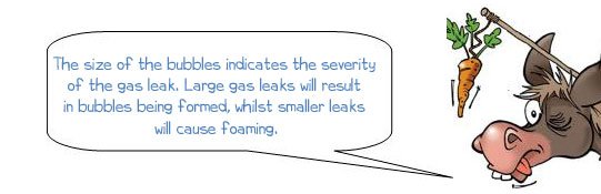 Wonkee Donkee says: 'The size of the bubbles indicates the severity of a gas leak. Large gas leaks will result in bubbles being formed, whilst smaller leaks will cause foaming.' 