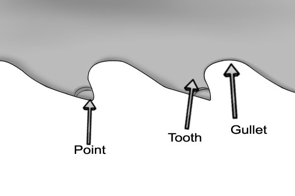 What are the different parts of a saw's teeth: gullet, point and tooth