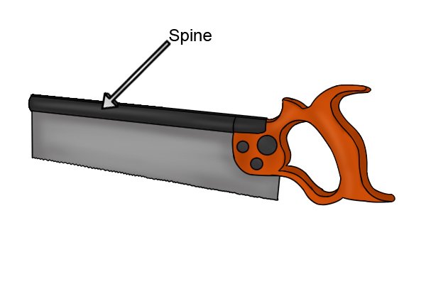 Spine of saw