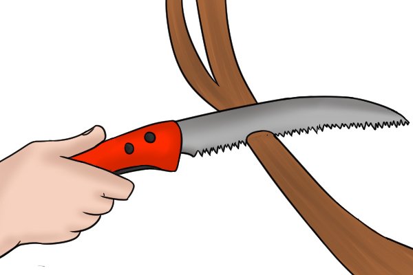 Pruning a tree with a saw