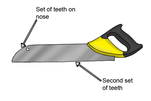 Set of teeth on nose, Second set of teeth