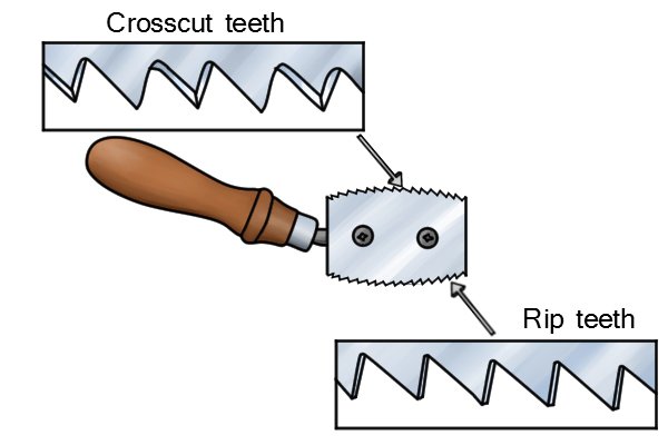 Rip Teeth and Cross cut teeth.