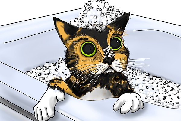 Image of a cat enjoying a relaxing hot bath because his immersion heater has just been replaced and is working perfectly!