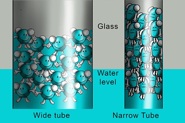 Capillary ability of liquid to move in a very small space ****google image 