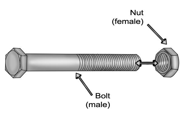 male and female threads