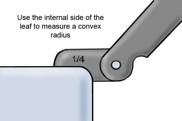 Using the inside of a leaf to measure a convex radius