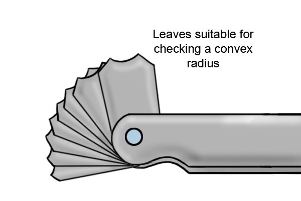 Leaves suitable for measuring a convex radius 