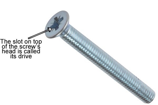 Screw with labelled top; The slot on the top of the screw's head is called its drive