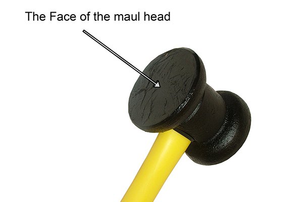 The face of the maul head