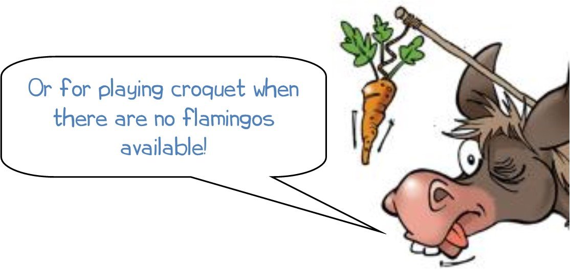 Wonkee Donkee says "Or for playing croquet when there are no flamingos available!"