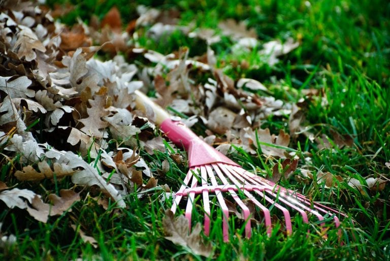 use of rake