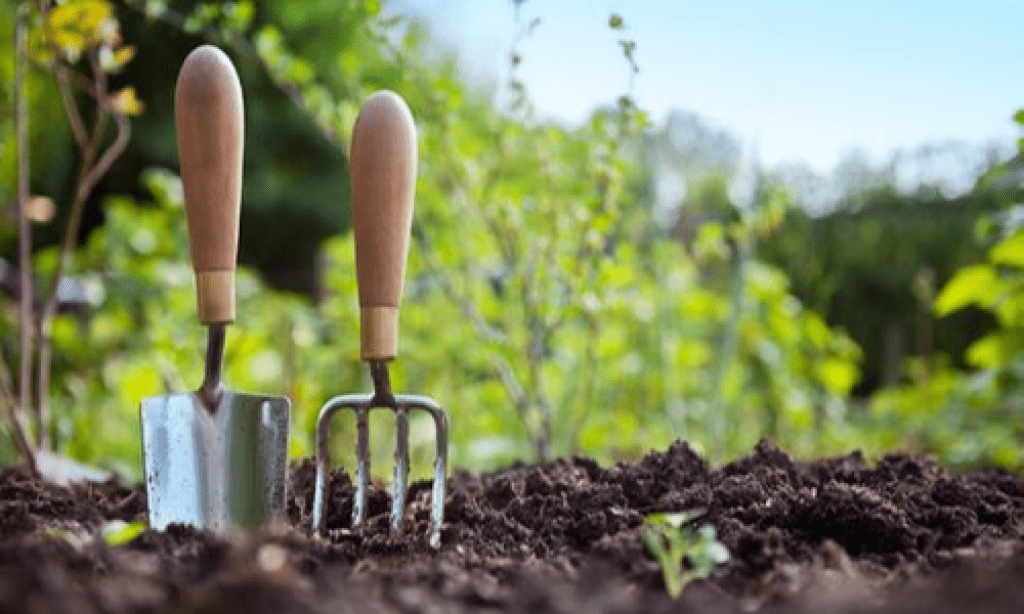 Best Gardeners Tools