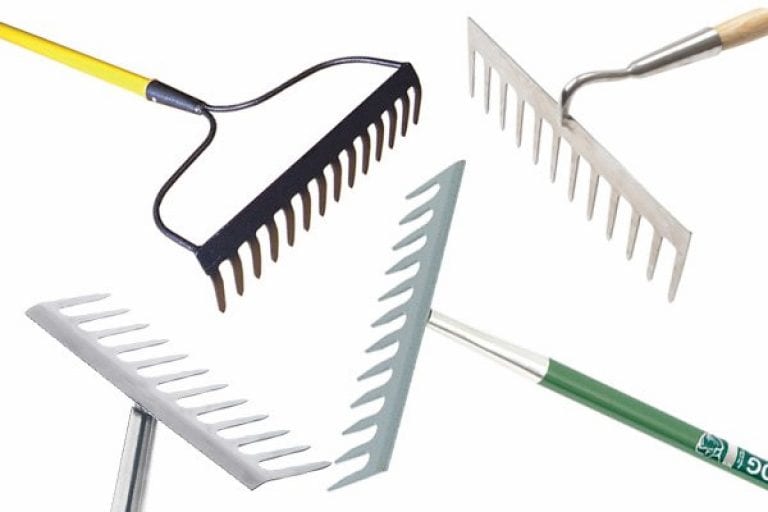 Rakes-Header-768x512.jpg