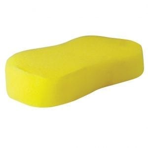Sponge