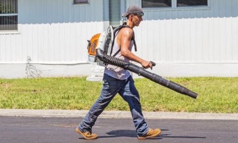 Best Leaf Blowers of 2020