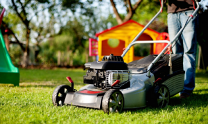 Best Lawn Mower Review