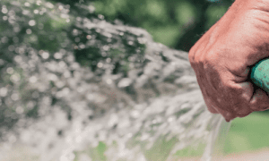 Best Power Washer Reviews