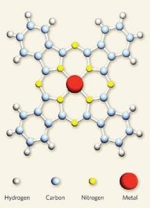 How hydrogen, carbon and nitrogen bond around metal.