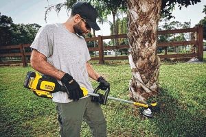 Dewalt strimmer in use.