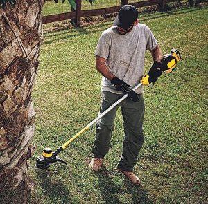 Strimming with Dewalt grass trimmer.