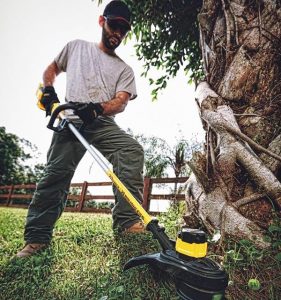 Using Dewalt grass trimmer.