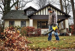 Using Dewalt leaf blower to clear area.
